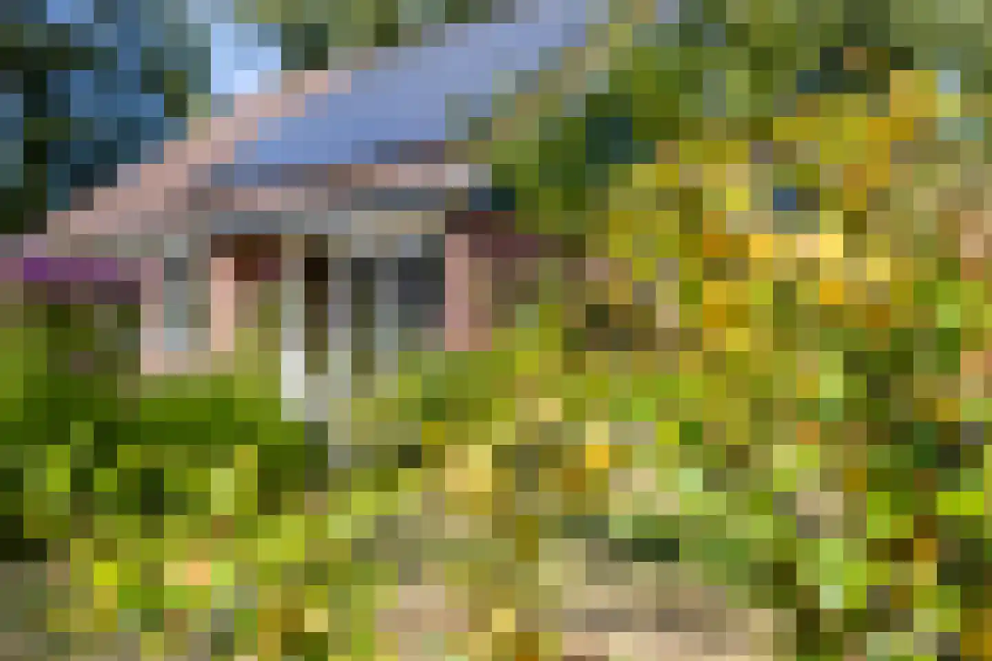 Gevelakkers 28 Anderen thumbnail 13
