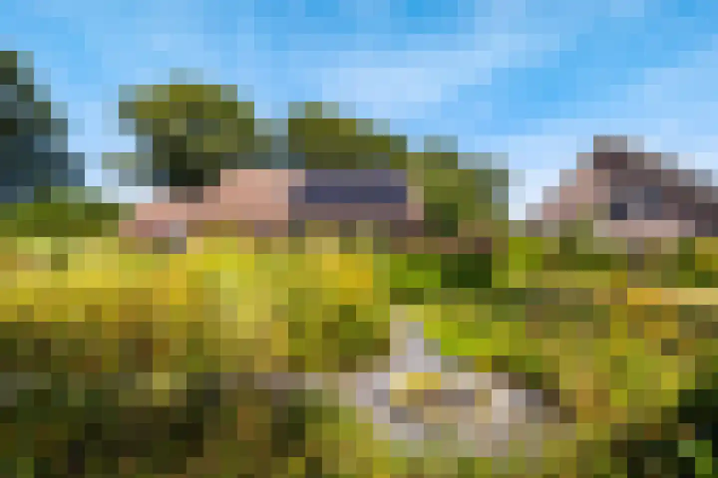 Gevelakkers 28 Anderen thumbnail 14