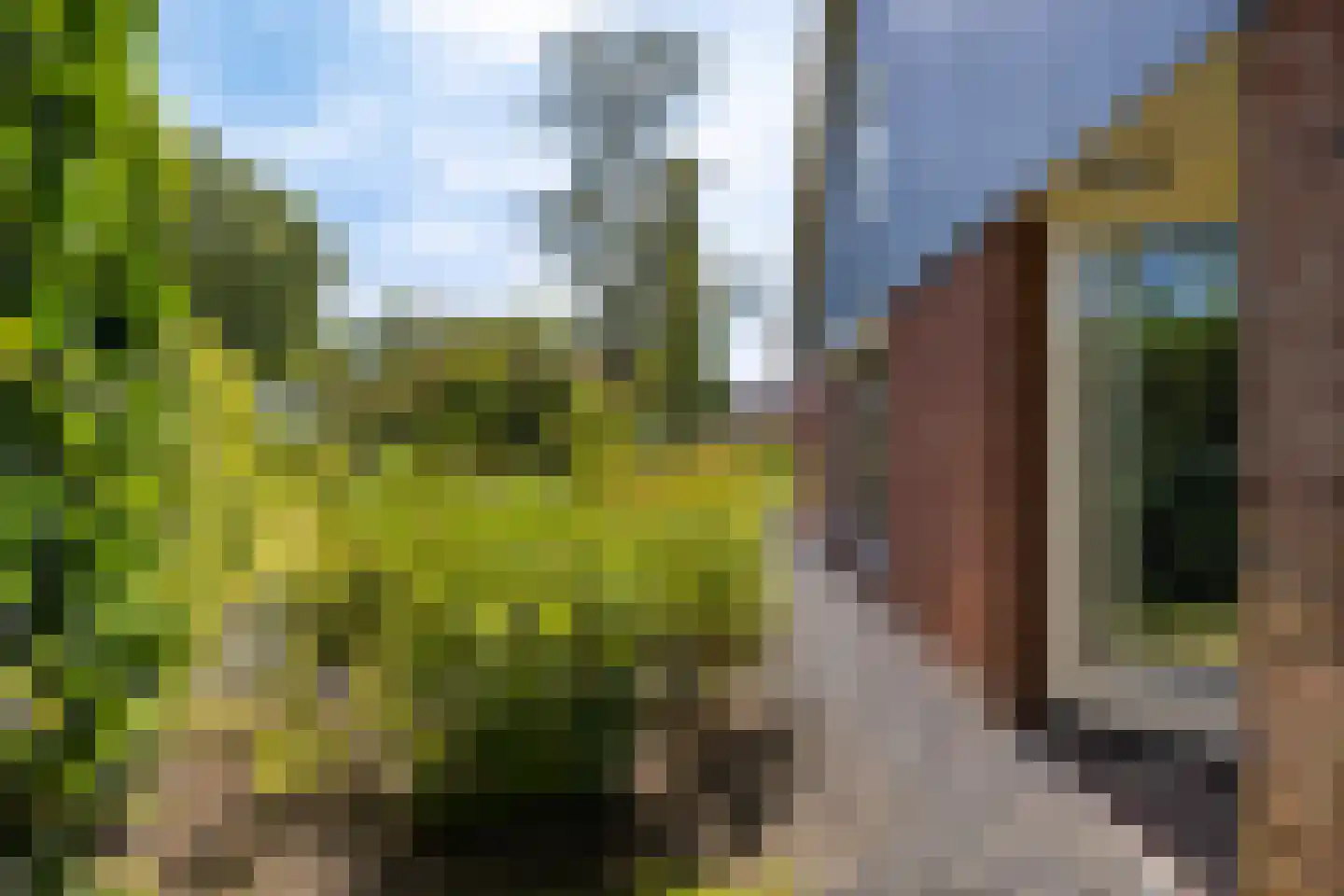 Gevelakkers 28 Anderen thumbnail 42