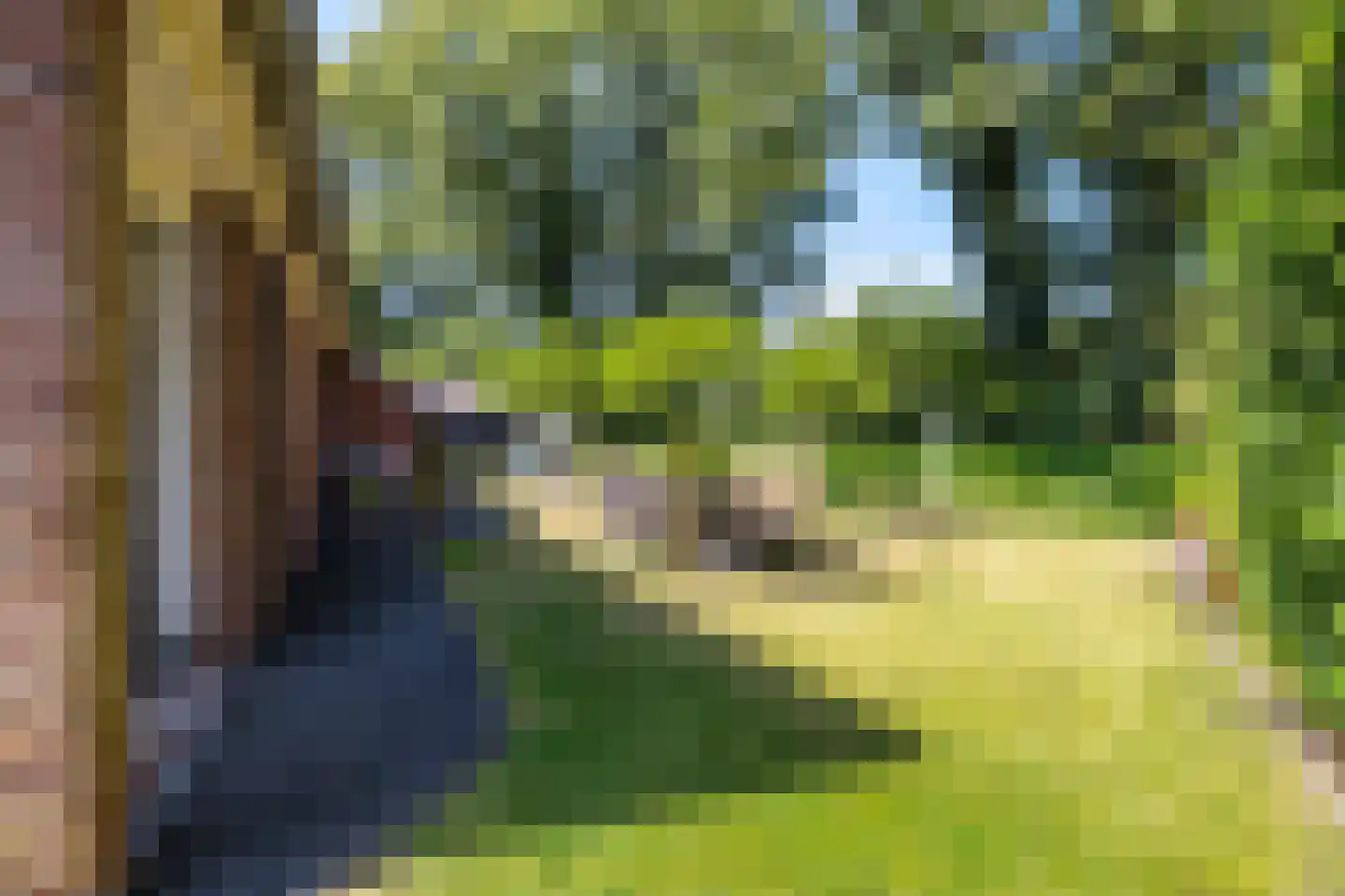 Gevelakkers 28 Anderen thumbnail 43