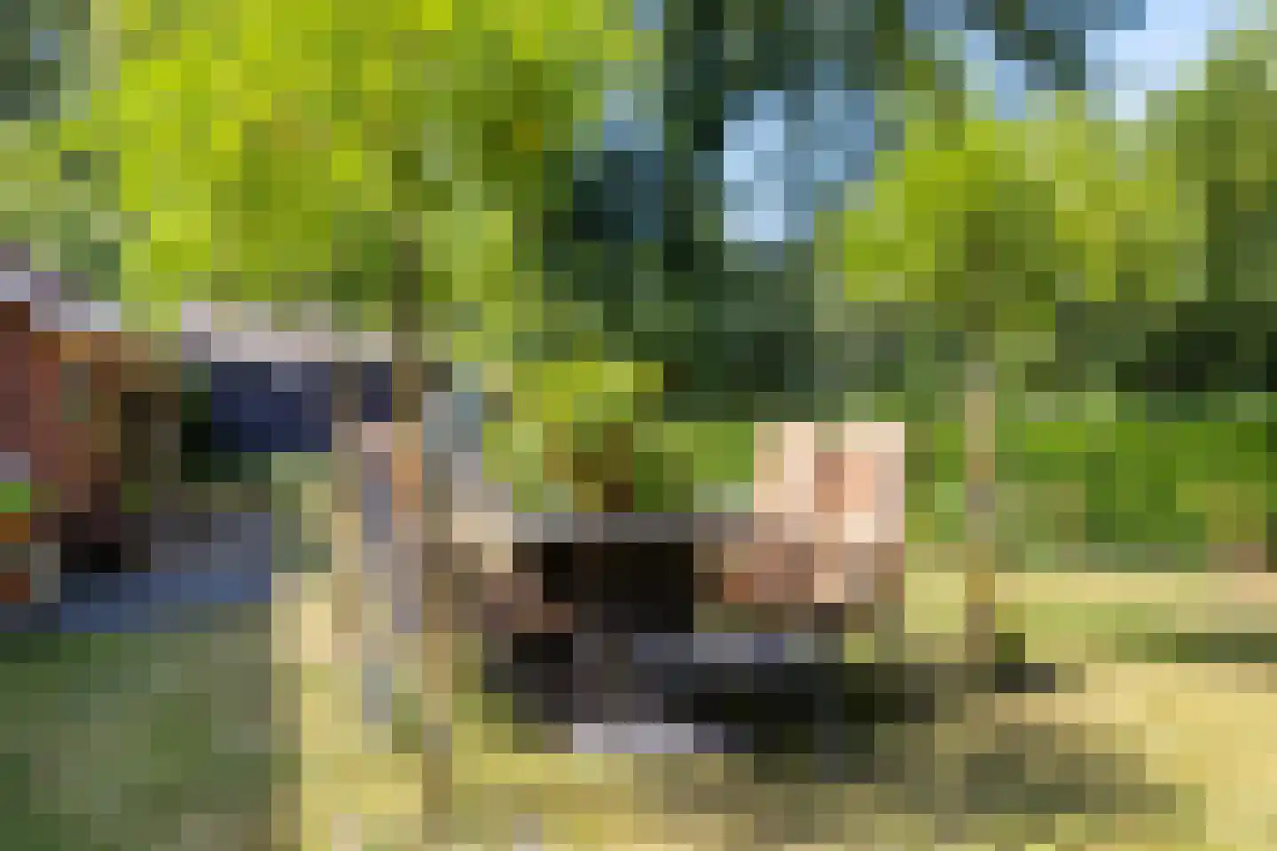 Gevelakkers 28 Anderen thumbnail 44