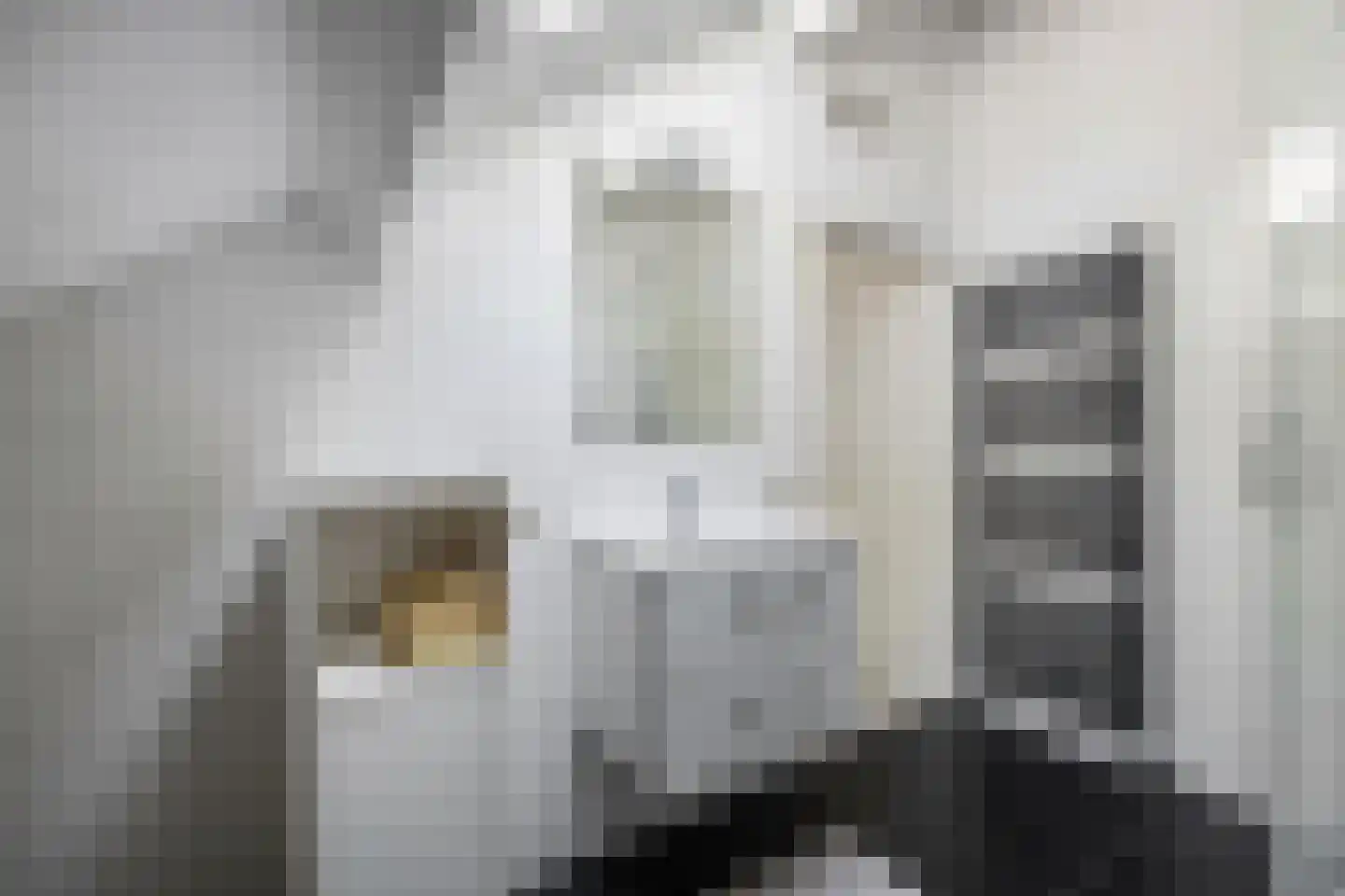 Gevelakkers 28 Anderen thumbnail 57