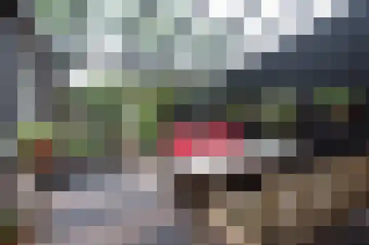 Gevelakkers 30 Anderen thumbnail 12