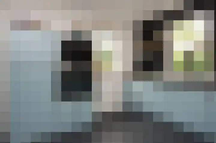 Gevelakkers 30 Anderen thumbnail 17