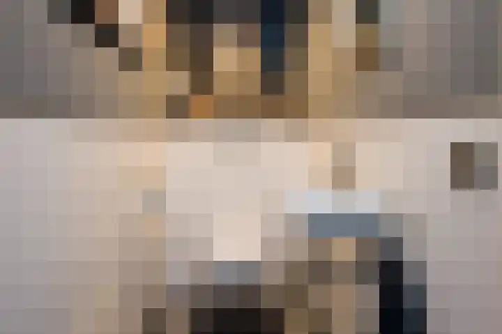 Gevelakkers 30 Anderen thumbnail 22