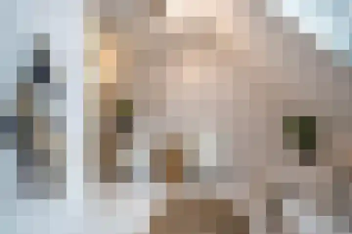 Gevelakkers 30 Anderen thumbnail 41