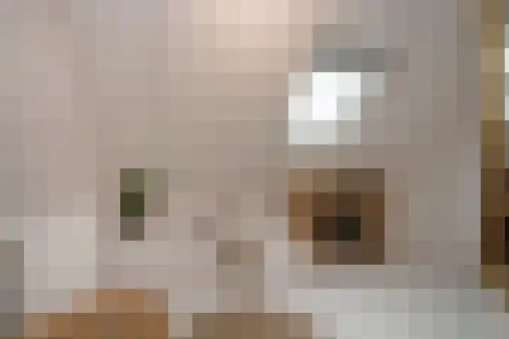 Gevelakkers 30 Anderen thumbnail 42