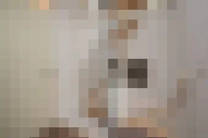 Gevelakkers 30 Anderen thumbnail 44