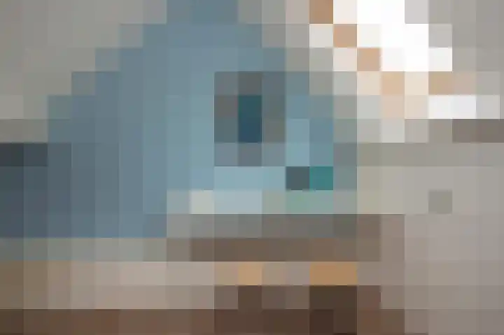 Gevelakkers 30 Anderen thumbnail 46