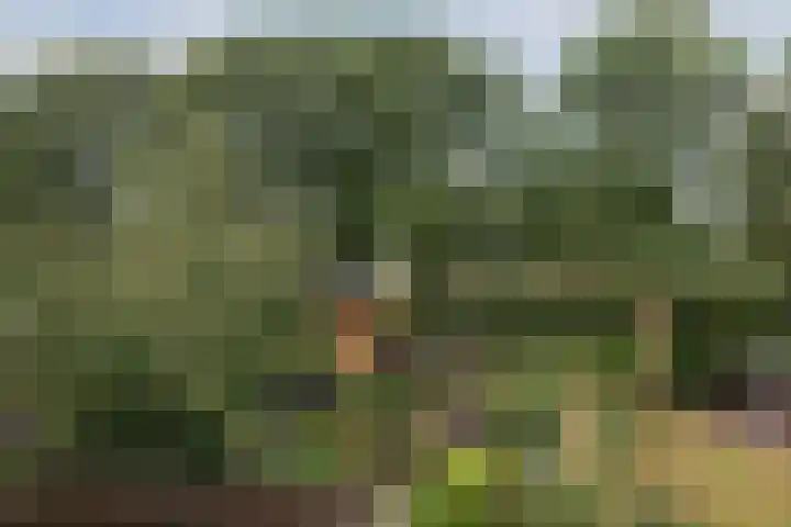 Gevelakkers 30 Anderen thumbnail 53