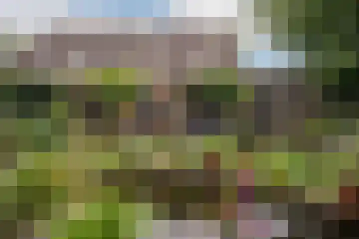 Gevelakkers 30 Anderen thumbnail 54