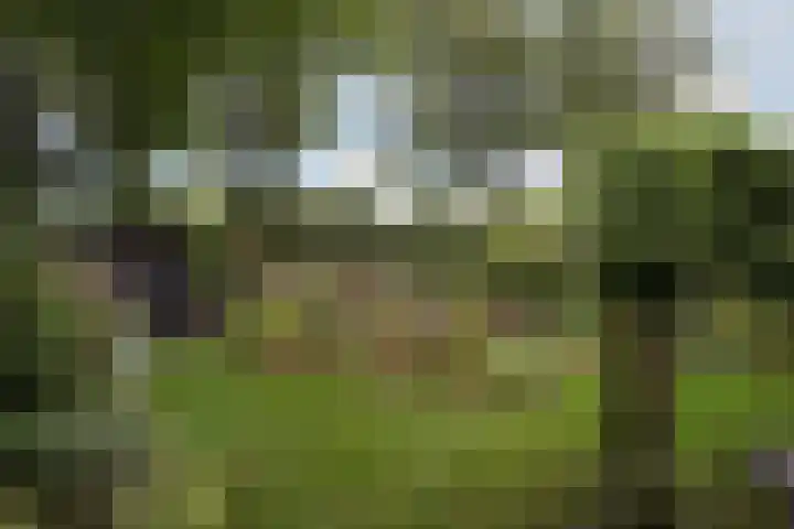 Gevelakkers 30 Anderen thumbnail 56