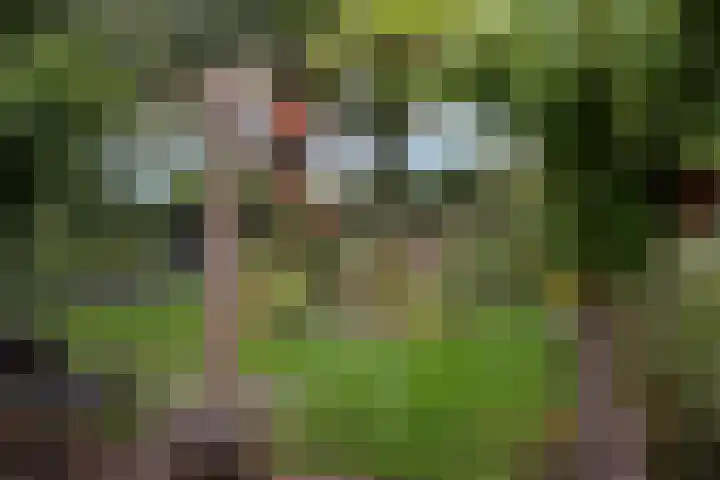 Gevelakkers 30 Anderen thumbnail 57