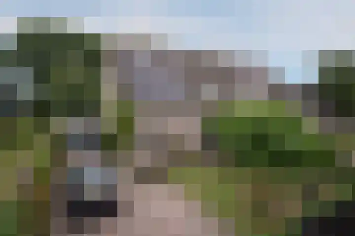 Gevelakkers 30 Anderen thumbnail 58