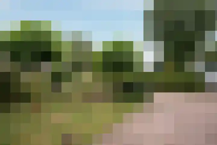 Gevelakkers 30 Anderen thumbnail 59
