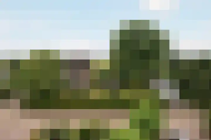 Gevelakkers 30 Anderen thumbnail 60
