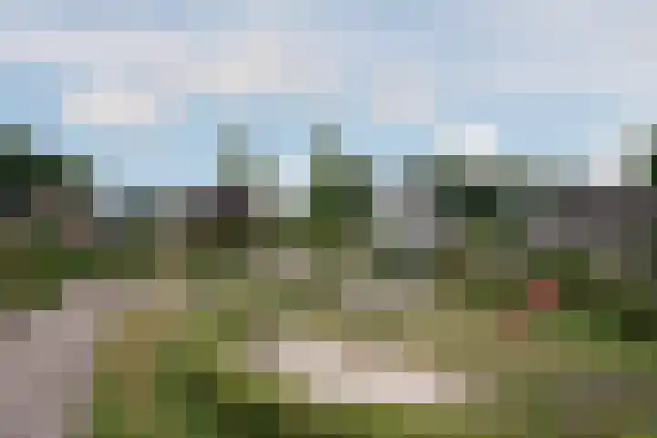 Gevelakkers 30 Anderen thumbnail 61