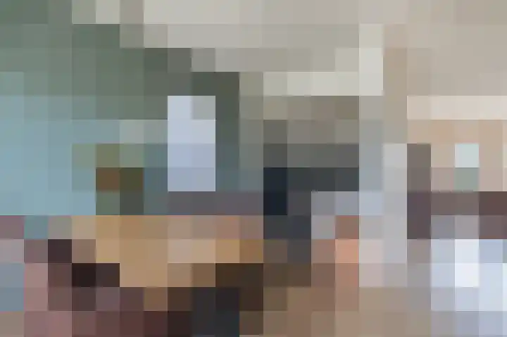 Gevelakkers 8 Anderen thumbnail 13