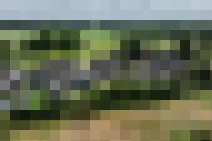 Gevelakkers 8 Anderen thumbnail 27