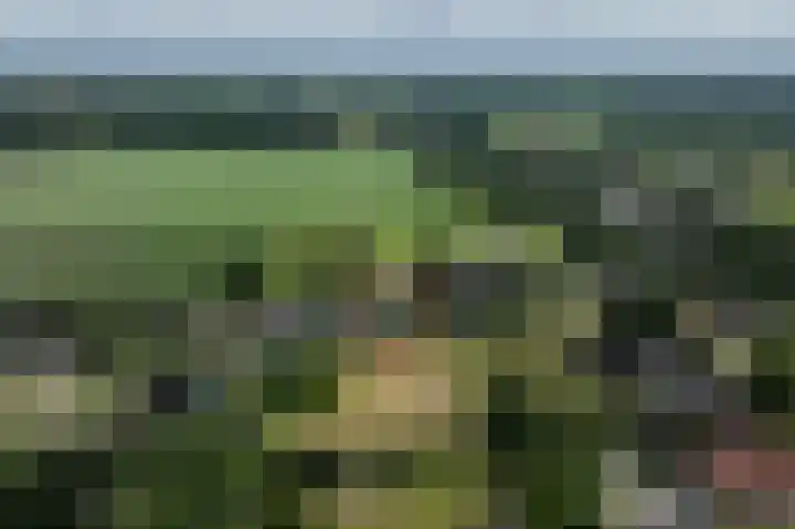 Gevelakkers 8 Anderen thumbnail 28