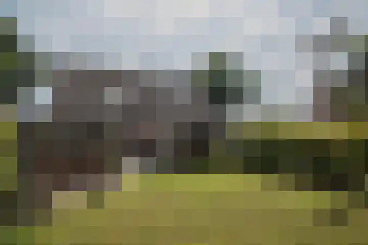 Gevelakkers 8 Anderen thumbnail 4
