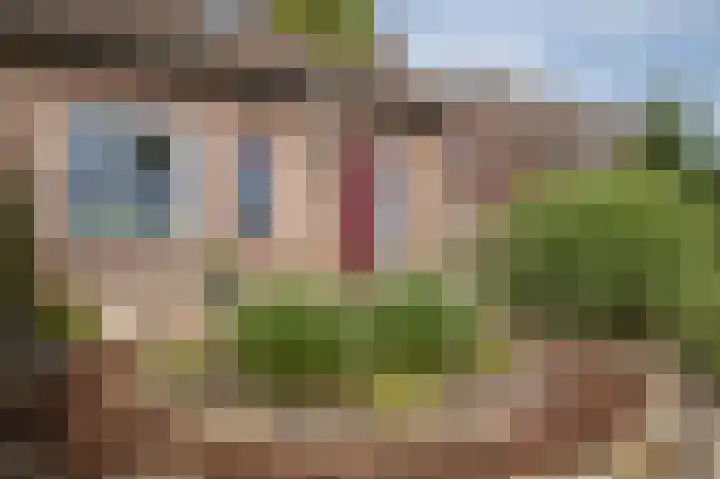 Gevelakkers 8 Anderen thumbnail 5