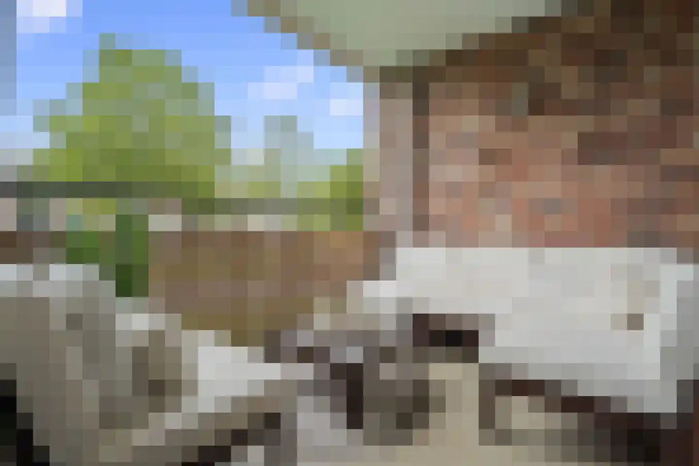 Gevelsteen 15 Houten thumbnail 10