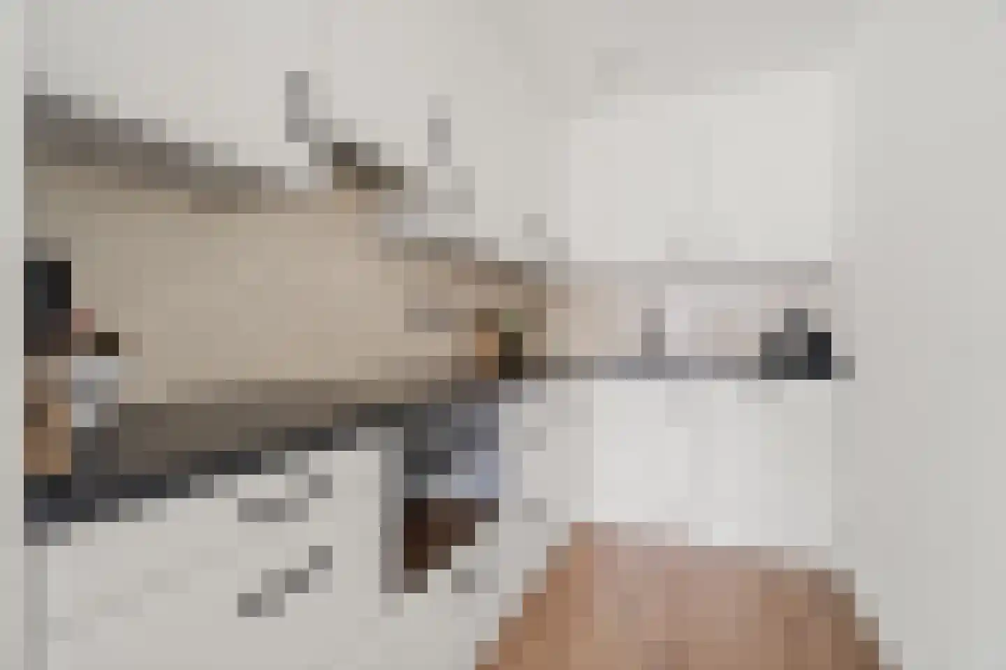 Gevelsteen 15 Houten thumbnail 22