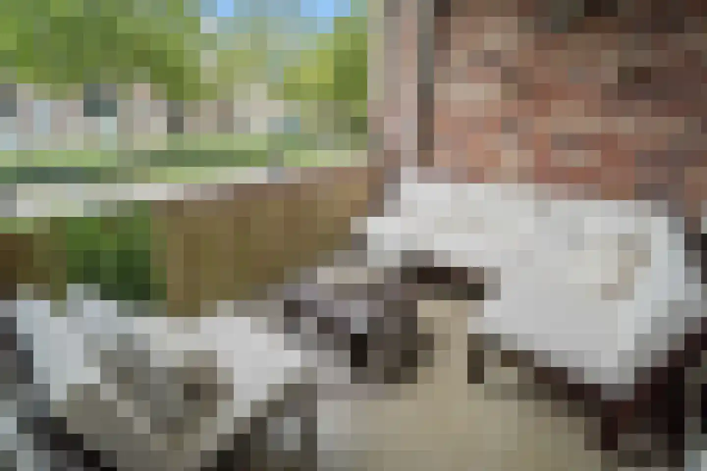 Gevelsteen 15 Houten thumbnail 24
