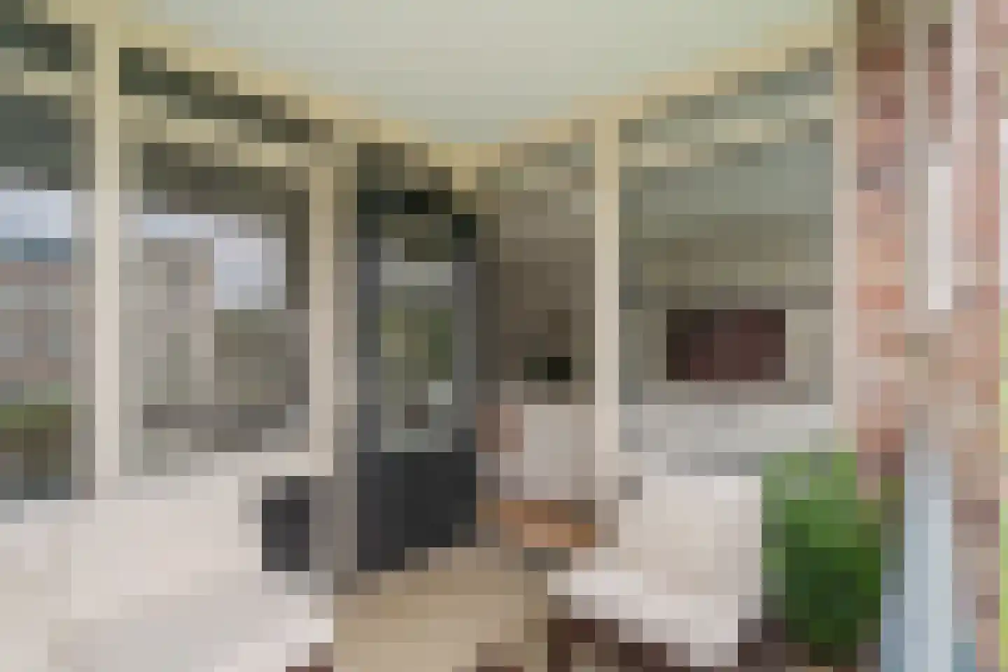Gevelsteen 15 Houten thumbnail 26