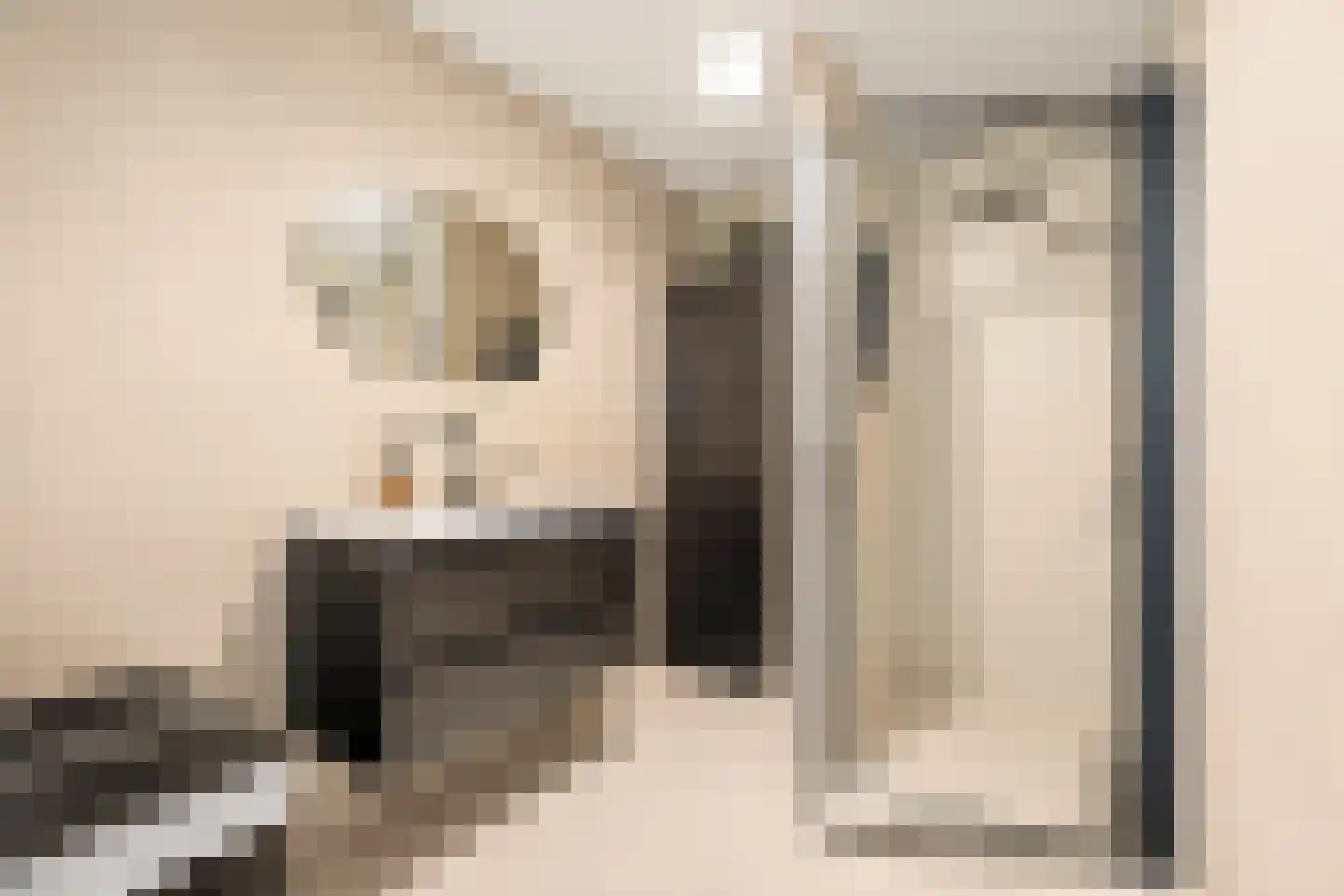 Gevelsteen 15 Houten thumbnail 4