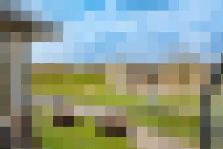 Gevelsteen 39 Houten thumbnail 20