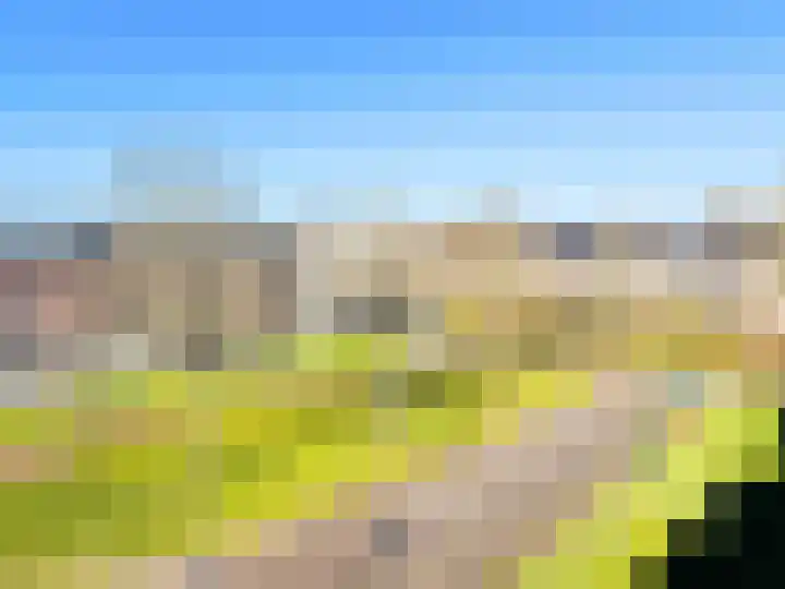 Gevelsteen 39 Houten thumbnail 21