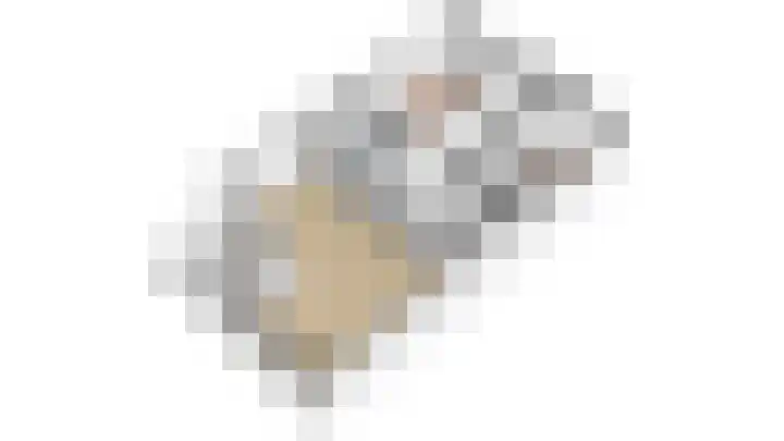 Gevelsteen 39 Houten thumbnail 32
