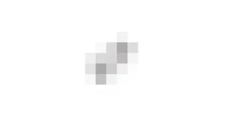 Gevelsteen 39 Houten thumbnail 36