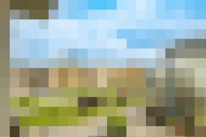 Gevelsteen 39 Houten thumbnail 5