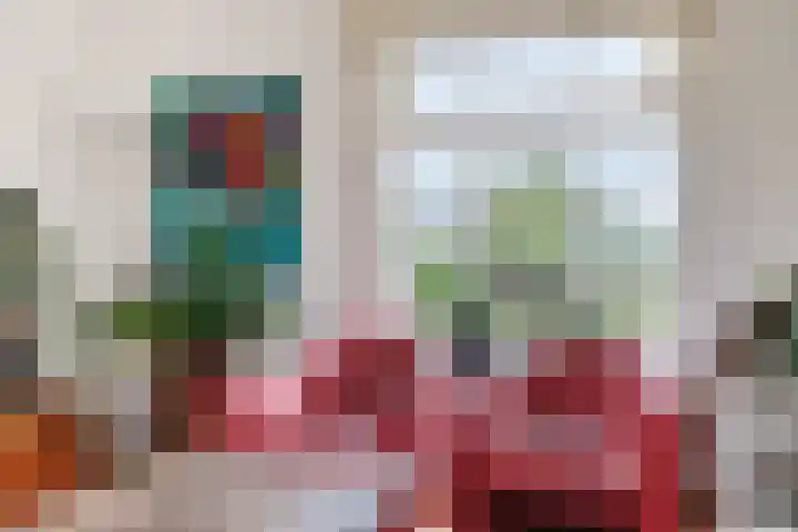 Gever 8 Haaren thumbnail 10