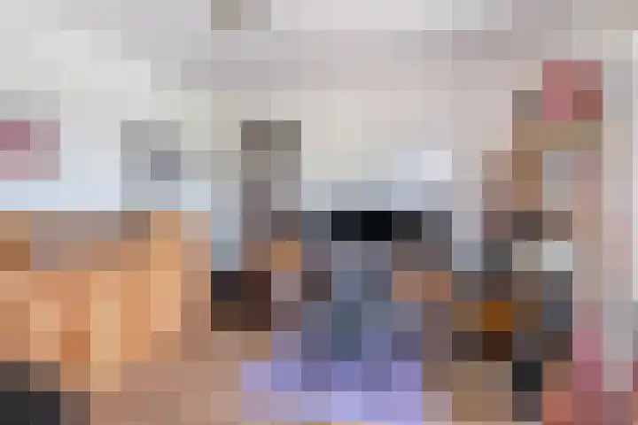 Gever 8 Haaren thumbnail 14