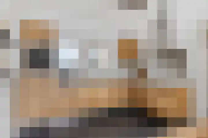 Gever 8 Haaren thumbnail 18