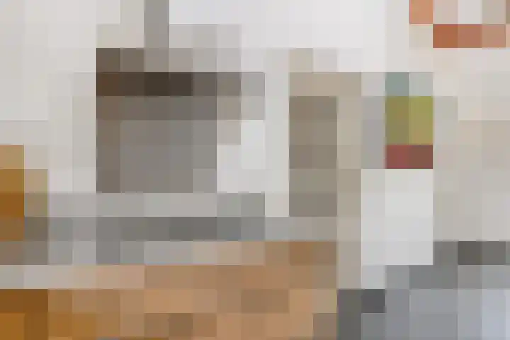 Gever 8 Haaren thumbnail 19