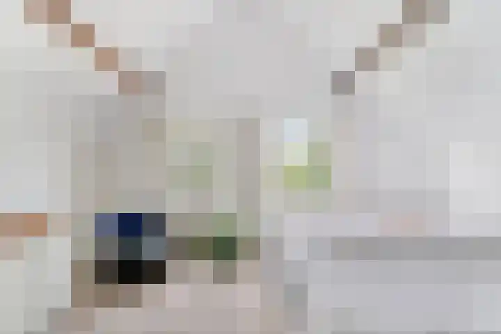 Gever 8 Haaren thumbnail 28