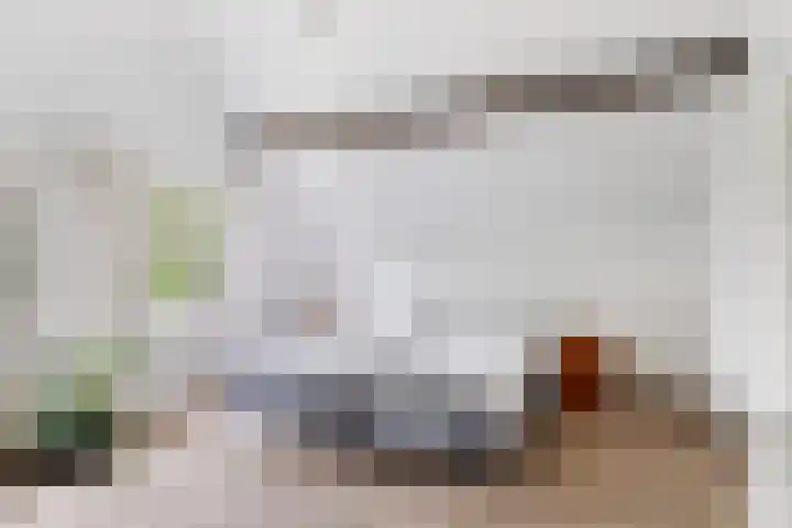 Gever 8 Haaren thumbnail 29