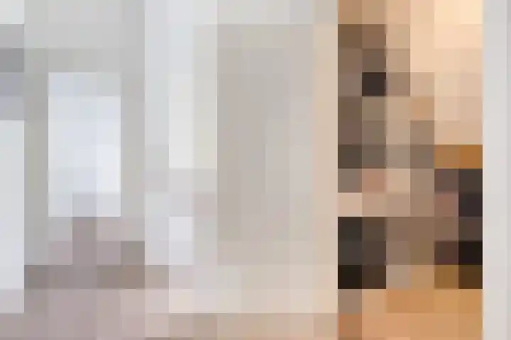 Gever 8 Haaren thumbnail 35
