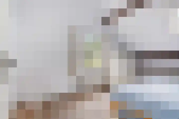 Gever 8 Haaren thumbnail 36