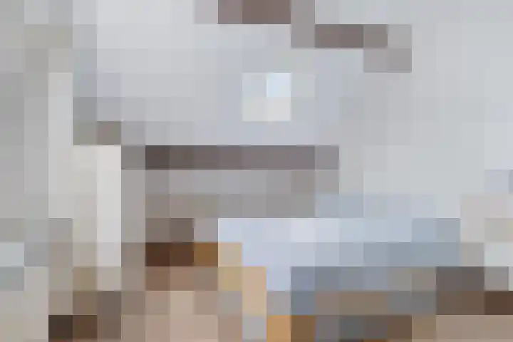 Gever 8 Haaren thumbnail 37