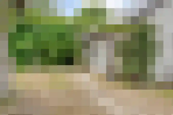 Gever 8 Haaren thumbnail 38