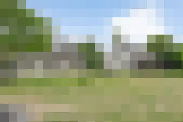 Gever 8 Haaren thumbnail 4
