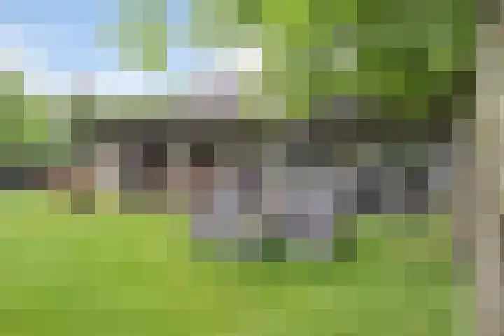 Gever 8 Haaren thumbnail 40