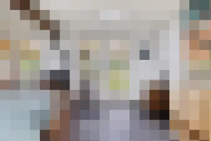 Gever 8 Haaren thumbnail 43