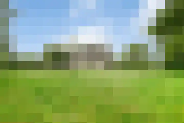 Gever 8 Haaren thumbnail 53